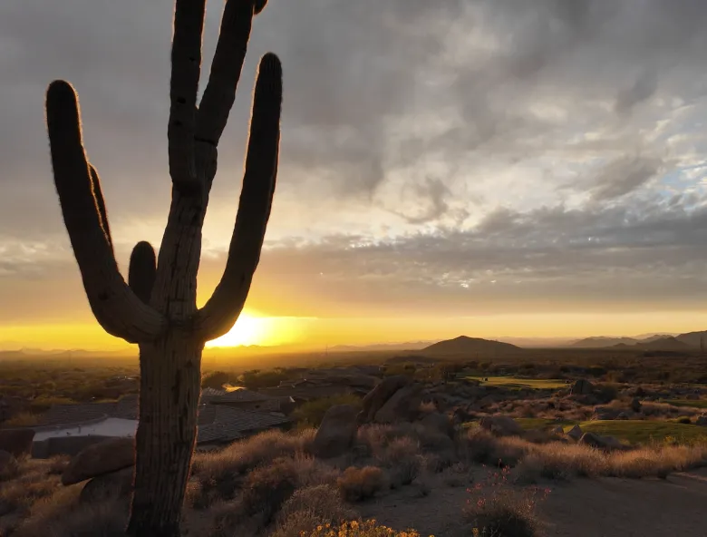 Arizona The Green Report