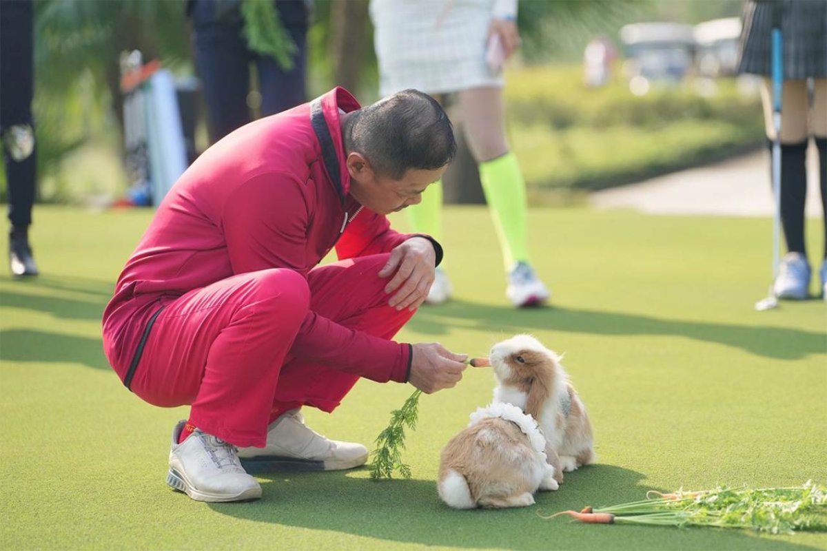 xili_golf_member_feeds_rabbit.jpg