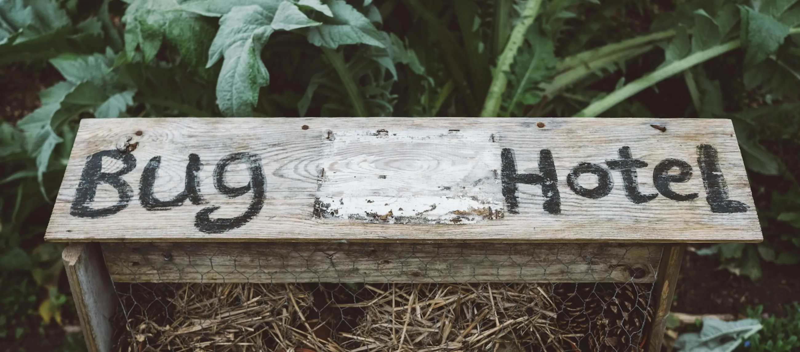 Bug Hotels